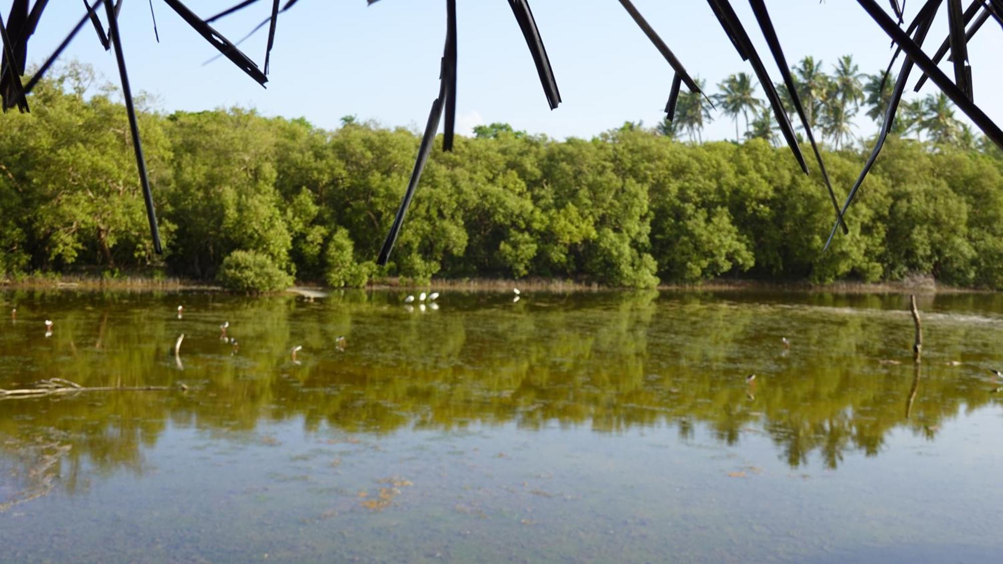 טנגלה Salt Lake Cabanas & Restaurant מראה חיצוני תמונה