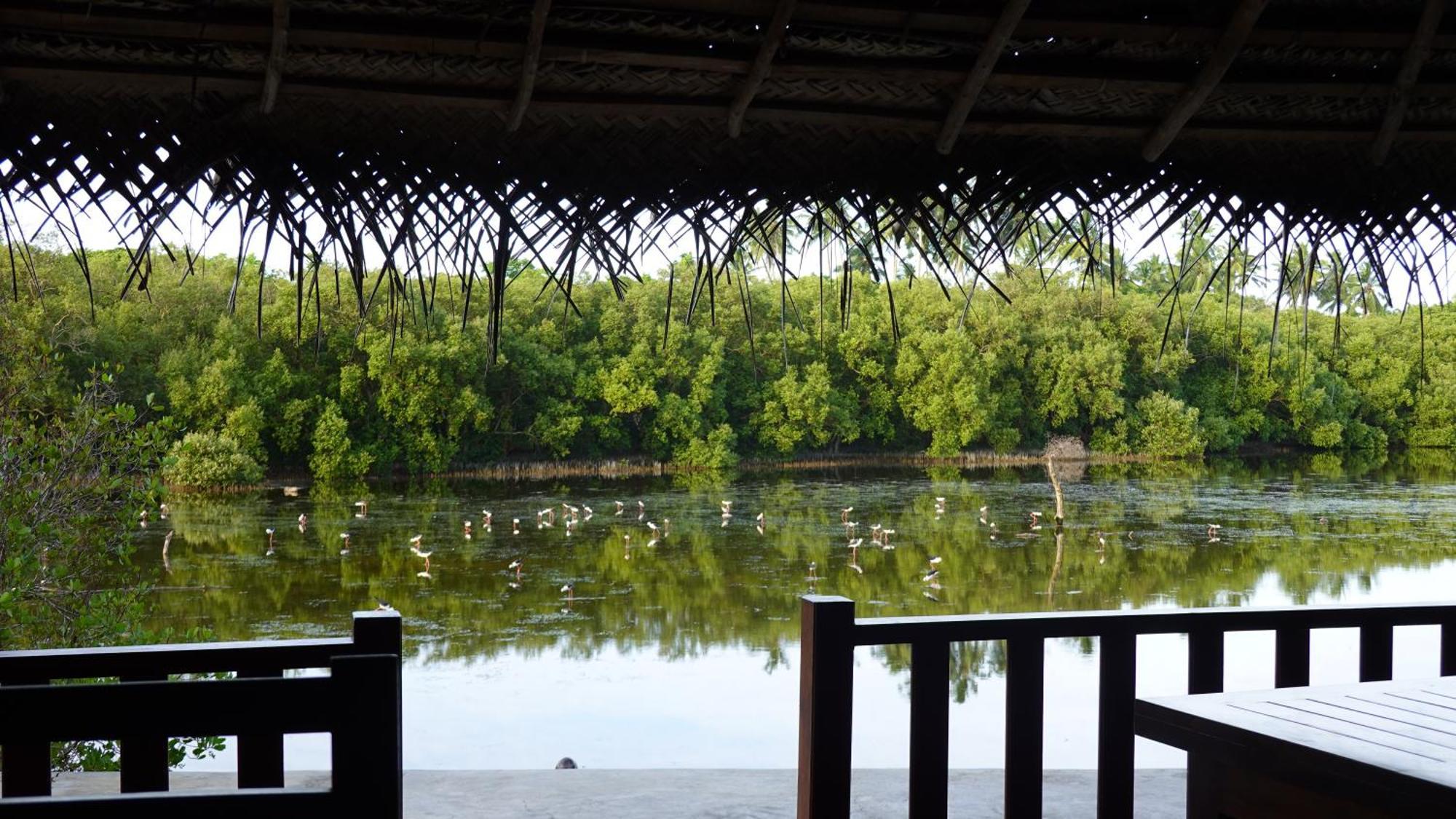 טנגלה Salt Lake Cabanas & Restaurant מראה חיצוני תמונה