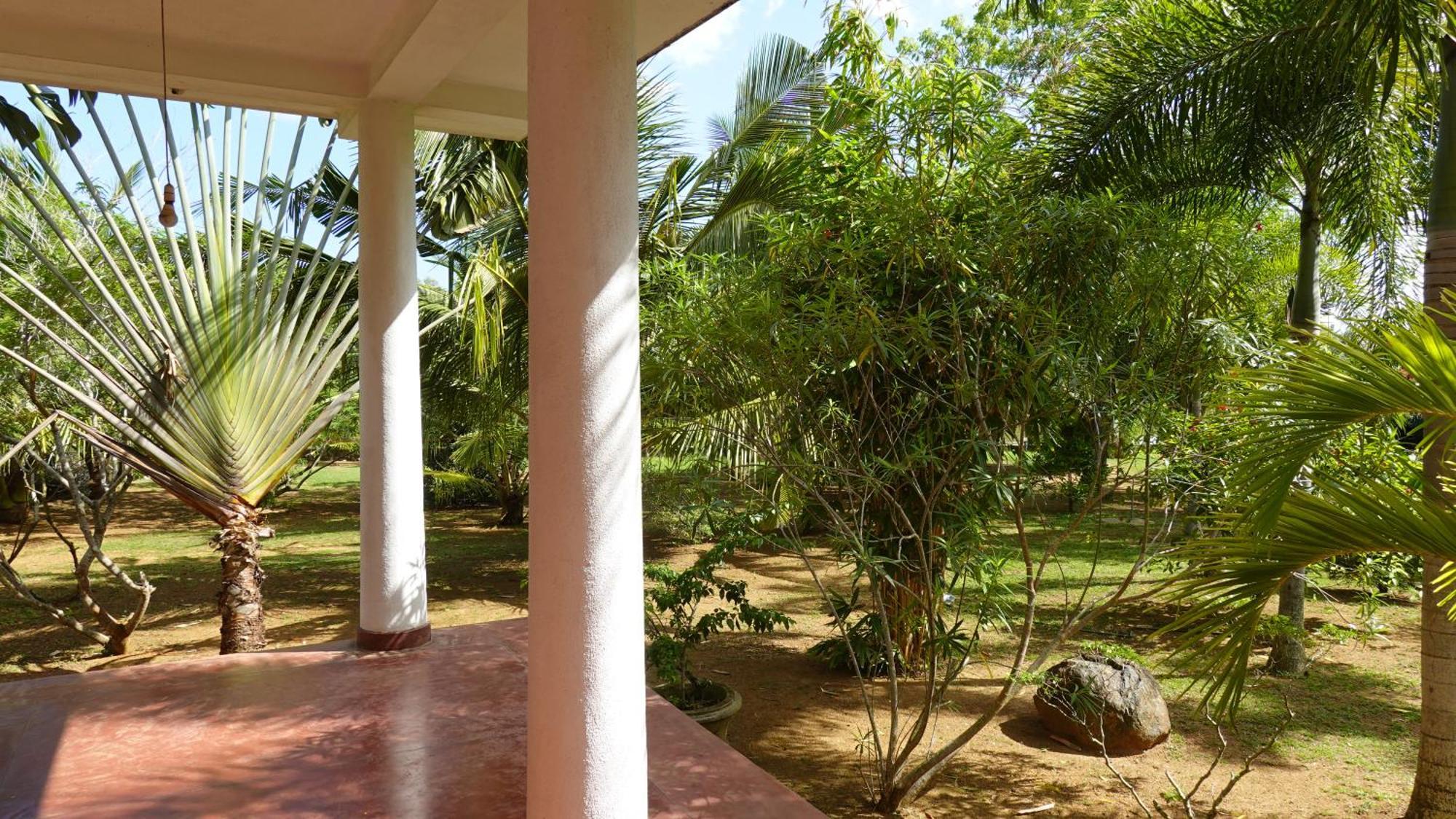 טנגלה Salt Lake Cabanas & Restaurant מראה חיצוני תמונה